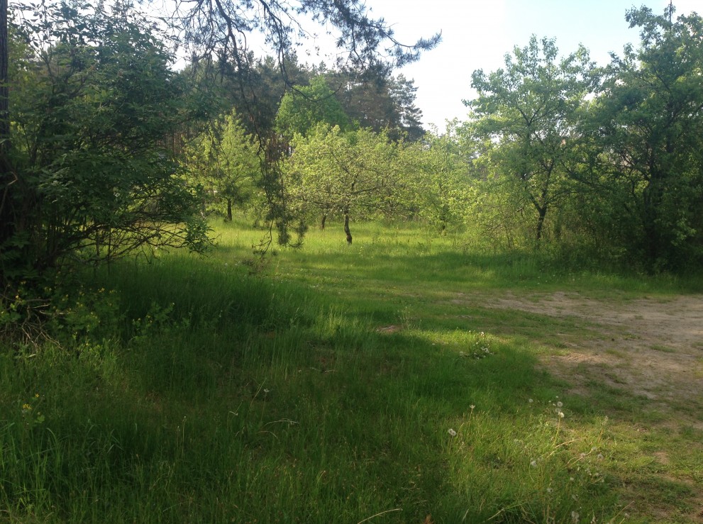 49 ares of land for the construction of low floor with a detailed plan in exceptional beauty, picturesque Grutas